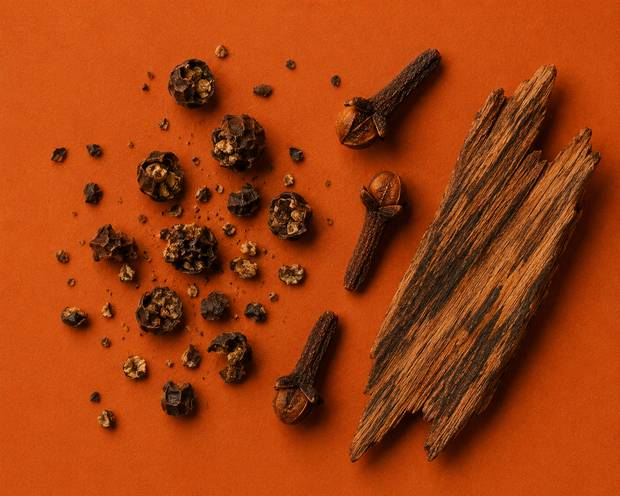 Cracked black peppercorns, whole cloves and split wood on burnt orange.